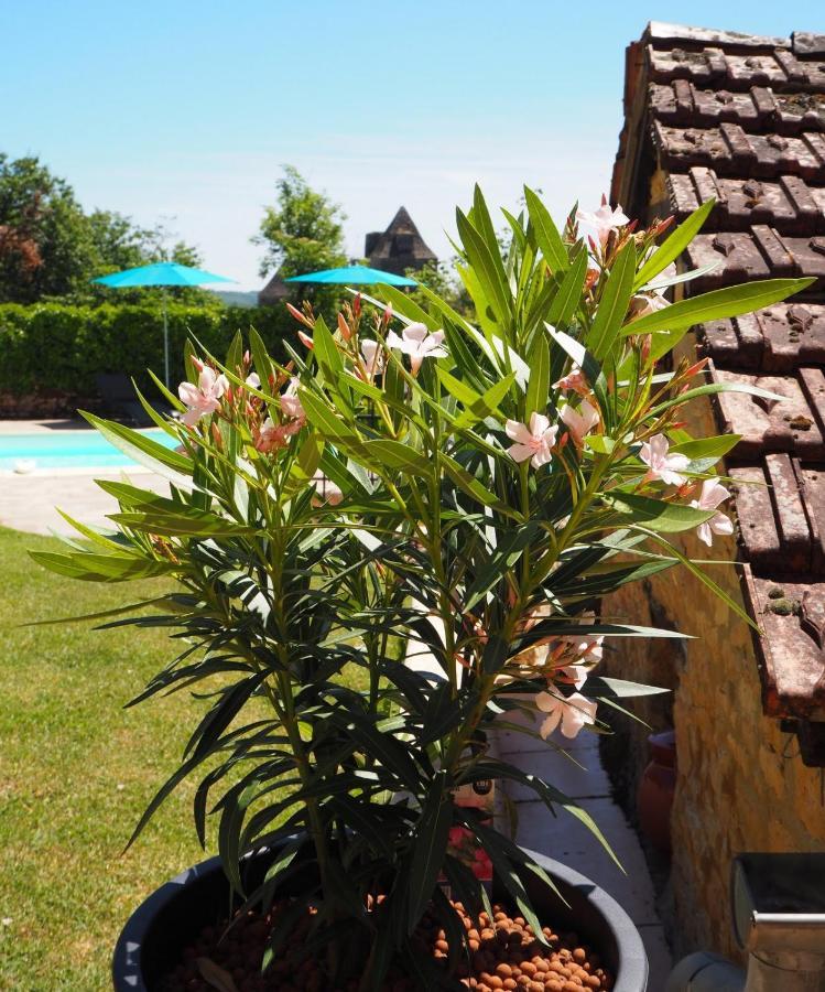 Le Clos De La Musardise - Gites De Charme Avec Piscine Chauffee Salignac Eyvigues Екстер'єр фото